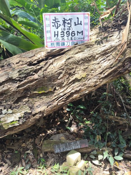 關西赤柯山、東獅頭山步道（玉山太元宮中元）2881685