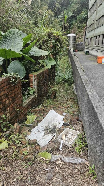 20260224興基坑古道-淡基橫斷古道-界寮縱走o型3007570