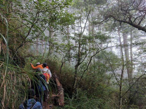 合歡越嶺古道上卯木山封面