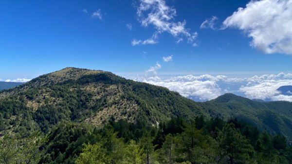 南三段-------丹大無雙豔陽天2916526