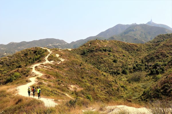 HK - 青山復地1482576