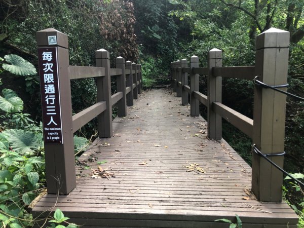 台南市南化區與高雄市內門區交界的龍鱗山（王爺崙山）步道2301078