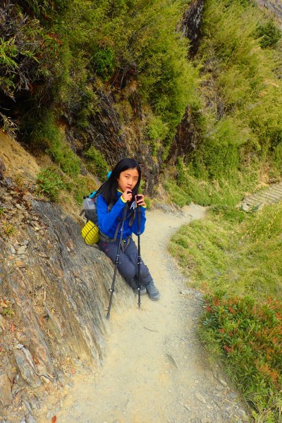 登峰造極--2018玉山主峰532646