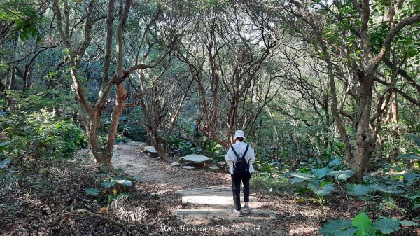 《彰化》卦山少林｜花壇西來園（銀行山）登山步道202412012657897