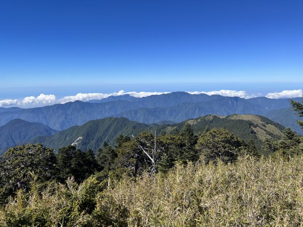 雪山西稜 2023_1105(D4B) 奇峻山2341907