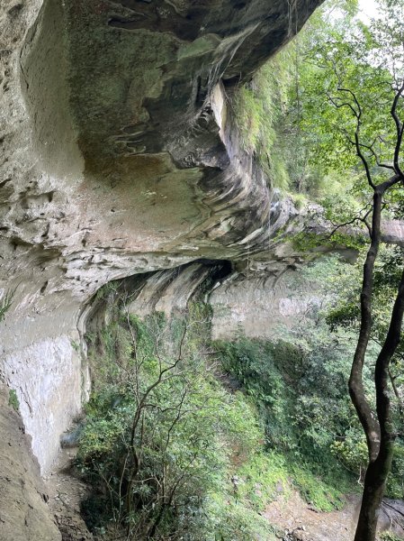 三貂嶺野人谷九瀑連走O型2838355