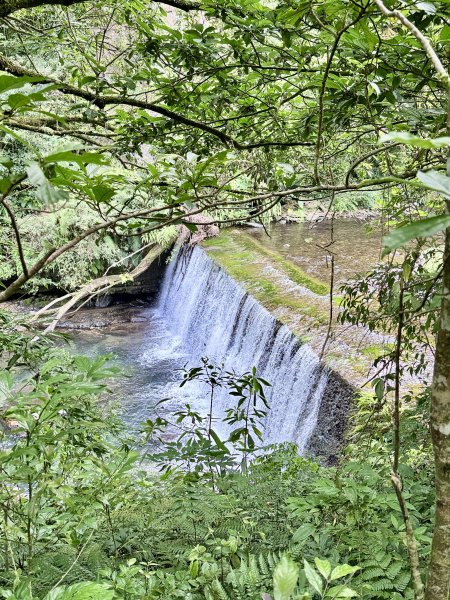 桶後越嶺道悠遊（烏來－礁溪）    2025.7.52827984