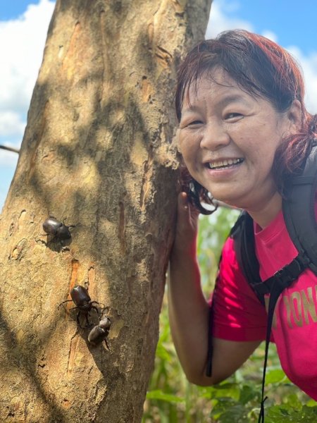 大坑1號和2號步道2826396