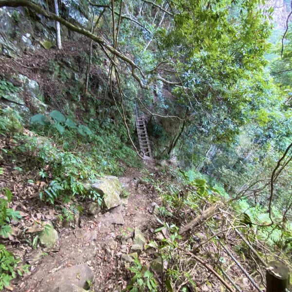 水雲三星/鳳~鳥嘴山1255762