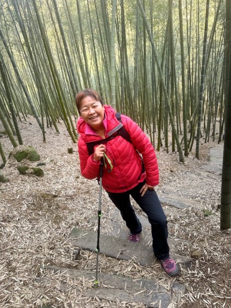 嘉南雲峰、九穹神木3014465