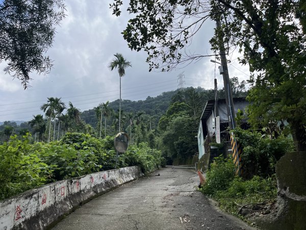 [屏步青雲 尋寶任務-08/10] 2024_1006 棚集山步道2617026