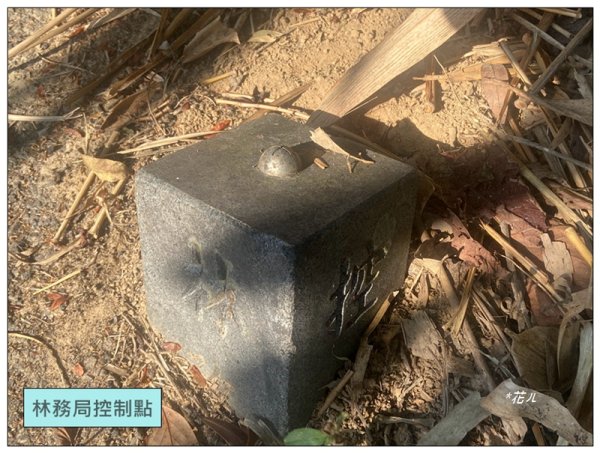 后里 七星山 新發現基石2990035