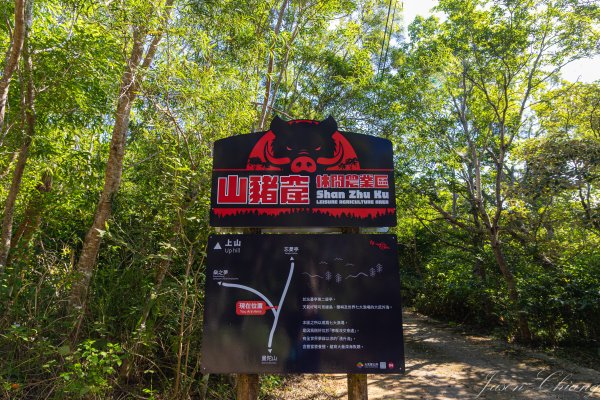 [台東]巴塱衛山2978298