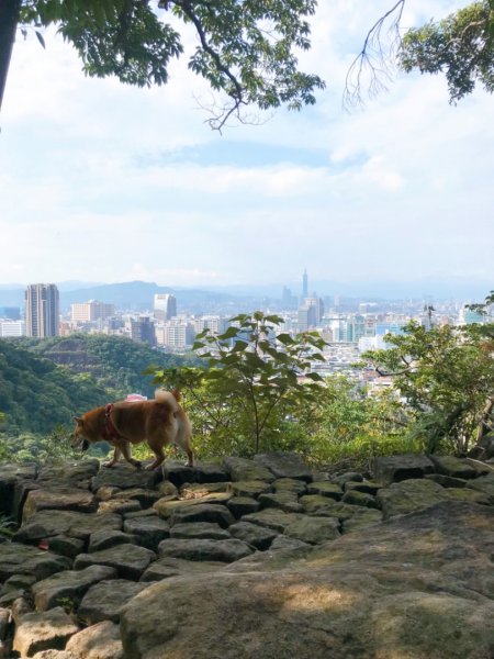 金面山步道1071824