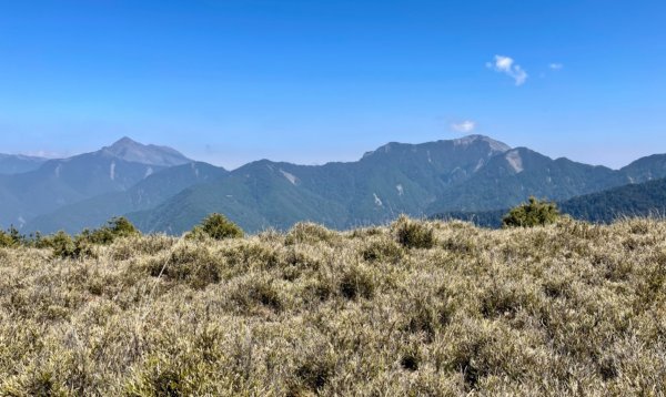 戀愛般的甘酸甜⋯ 閂山．鈴鳴山1342325