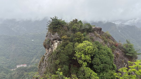 迎新（2026元旦2975603