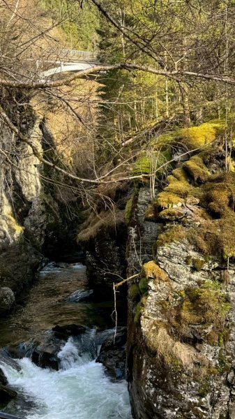 挪威🇳🇴Voss峽谷秘境2810307