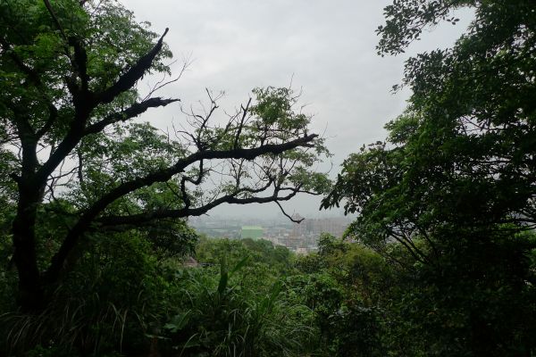 青龍嶺-大棟山封面