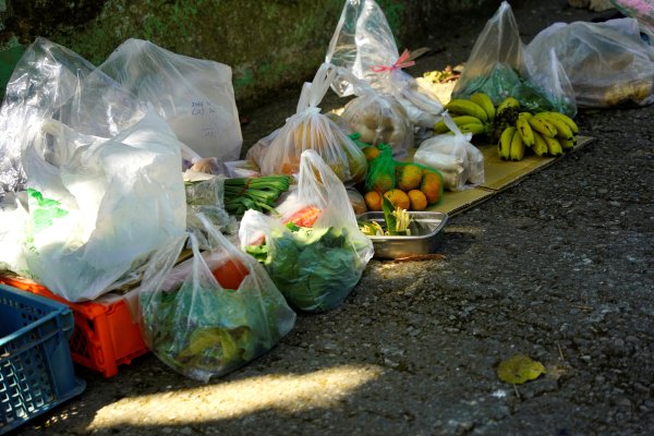 聚興山 新田登山步道2670660