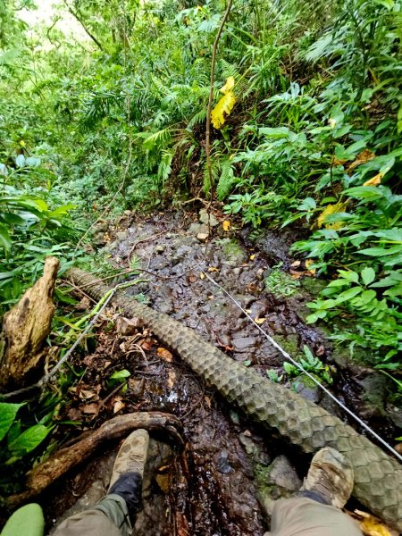 紅頭山-小百岳#97-台東縣蘭嶼鄉2901077