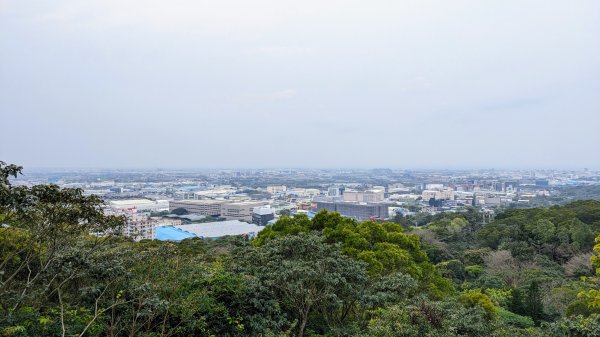 五酒桶山2448497