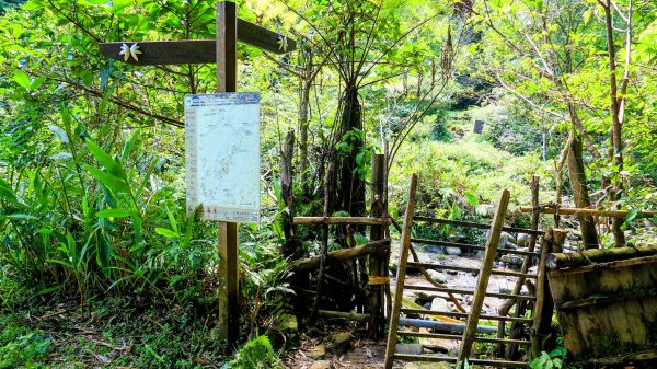 中坑古道東山西山2896462