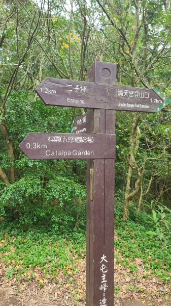 2026-0116 大屯三山_貴子坑_北投2984766