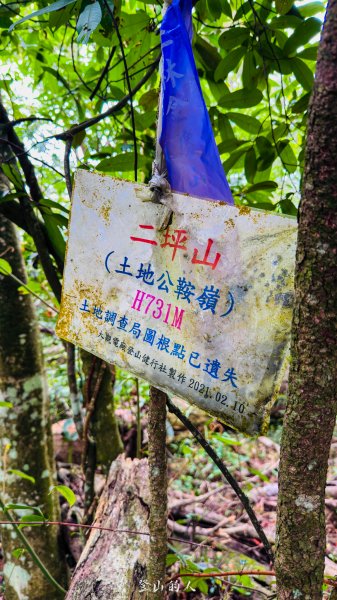 水沙漣古道｜二坪山2979998