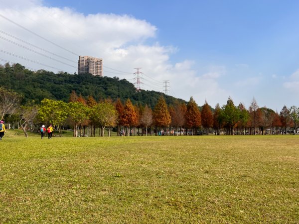 北車-桃園-齋明寺-自行車道-中庄調整池-七張-月眉2684816