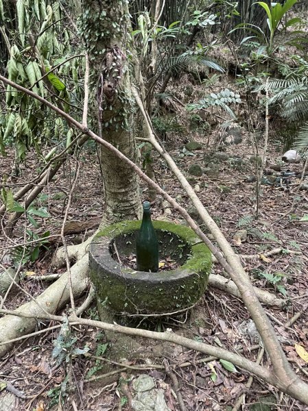 石笋古道O型2553826
