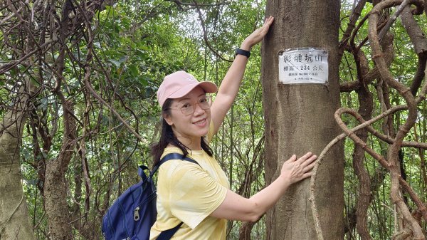 (姨婆趴趴走)第九集:攀登新北鶯歌石，鶯歌郊山步道群縱走(一)2167934