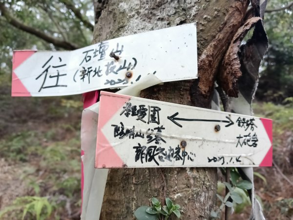 北投區大砲岩-石壇山-大師岩-湯守山-熱海岩場-八頭山-烏尖連山-軍艦岩3027347
