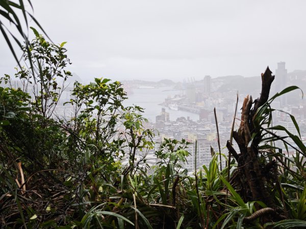 2026_0131 獅球嶺西砲台2997819