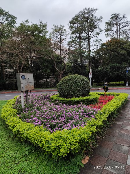 內湖大港墘公園、西湖圖書館、湖光教會、737巷美食街2729377