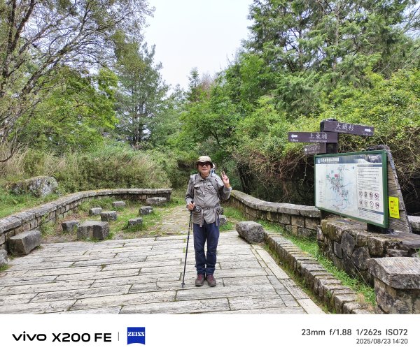 [玉山尋寶任務-05/12] 2025_0823 塔塔加步道(大鐵杉登山步道)2869644
