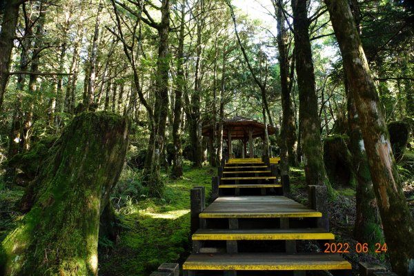 宜蘭 大同 太平山森林遊樂區1743644