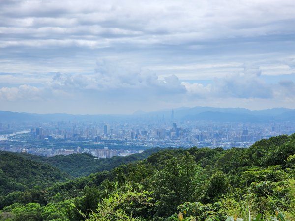 小百岳No.15⛰大棟山(龜崙山)2849777