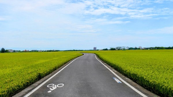 三奇美徑,52甲溼地2813341