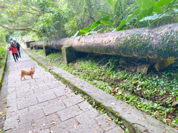 天母水管路古道1068092