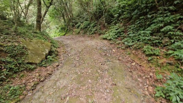 宜蘭小百岳鵲子山O走3083278