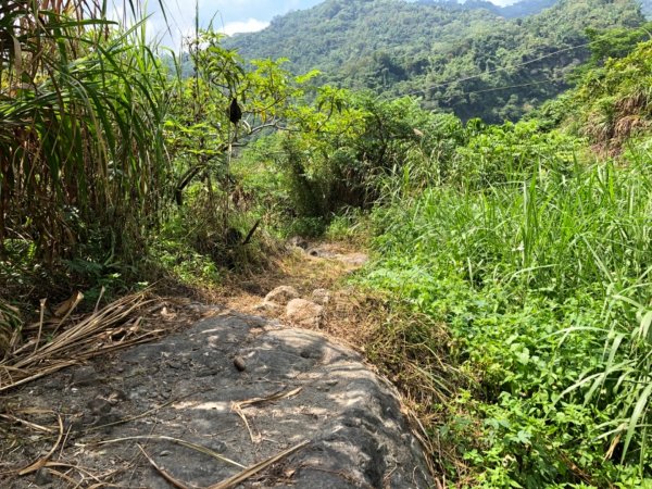 達娜伊谷走里美避難歩道、巨石坂步道690787