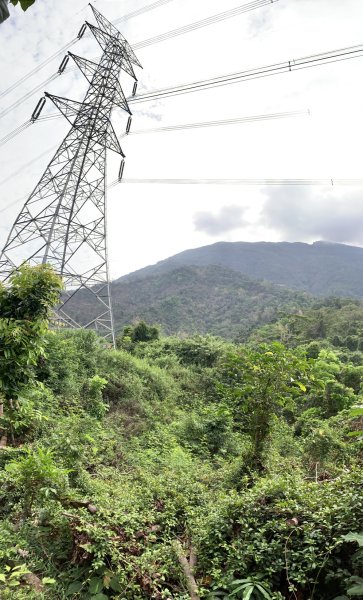 20250419屏東佳平山-虻彈山2767939