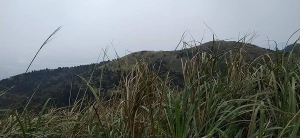 臺北大縱走第二段（2）1309714