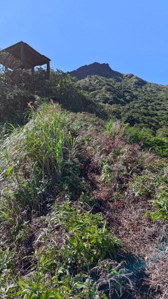 瑞芳小錐麓2714455