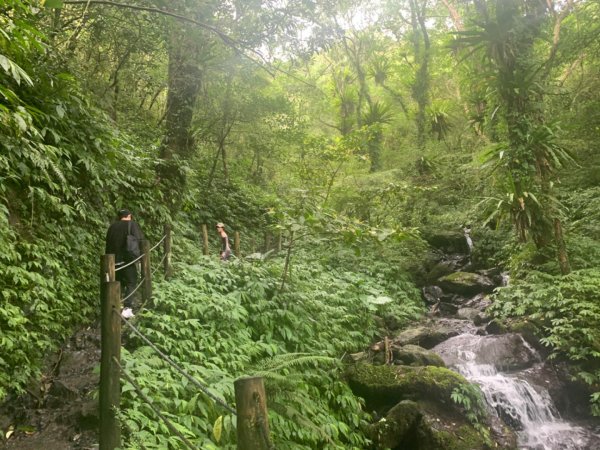 聖母山莊步道(抹茶山)山角崙山1057720