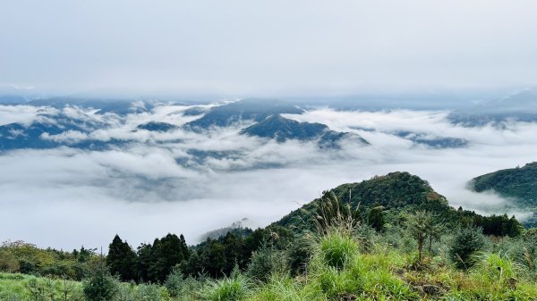 【鵝鳥雙拼】 鵝公髻接鳥嘴山2382769