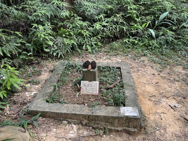 [皮皮獅探險隊-05/10] 2025_0706 石光古道2831861