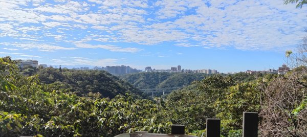 新寮休閒步道2949213