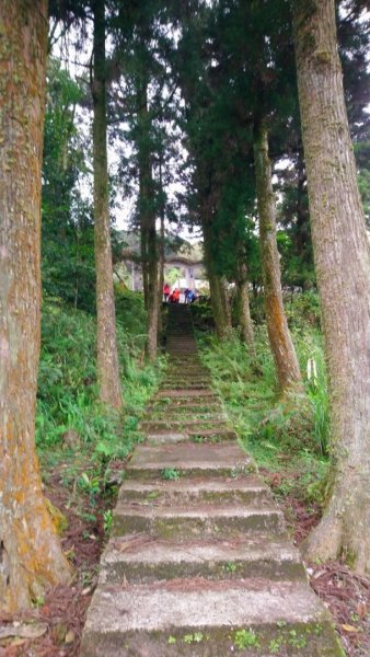 璀璨百年淡蘭古道～崩山坑古道、溪尾寮山、保城坑古道、虎豹潭步道O走1313429
