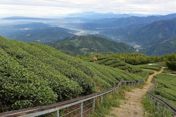 華山13號大尖山步道